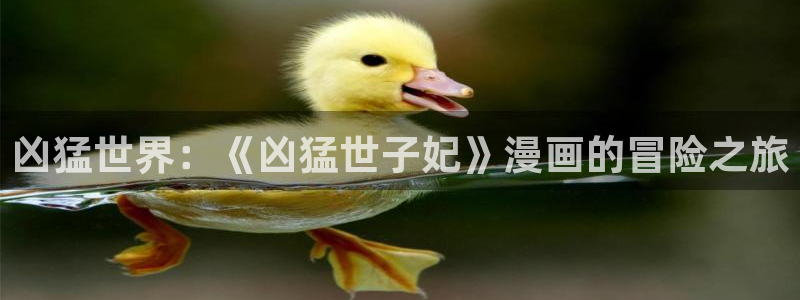 成人51漫画网站在线观看：凶猛世界：《凶猛世子妃》漫画的冒险之旅