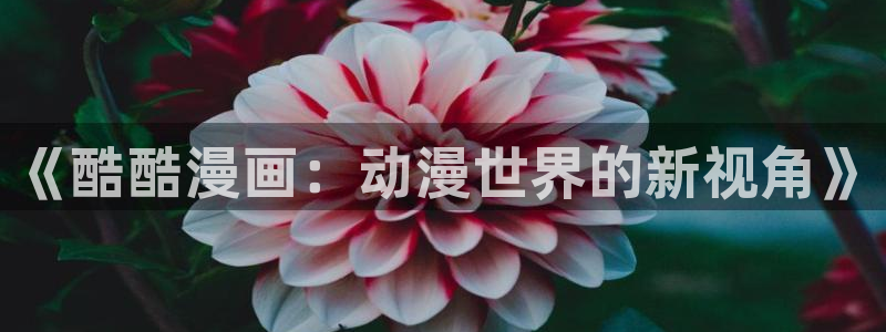 51漫画下载二次元：《酷酷漫画：动漫世界的新视角》